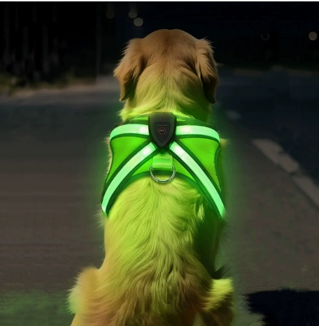 NightGuard K9 Aura LED-harnas zichtbaar in het donker